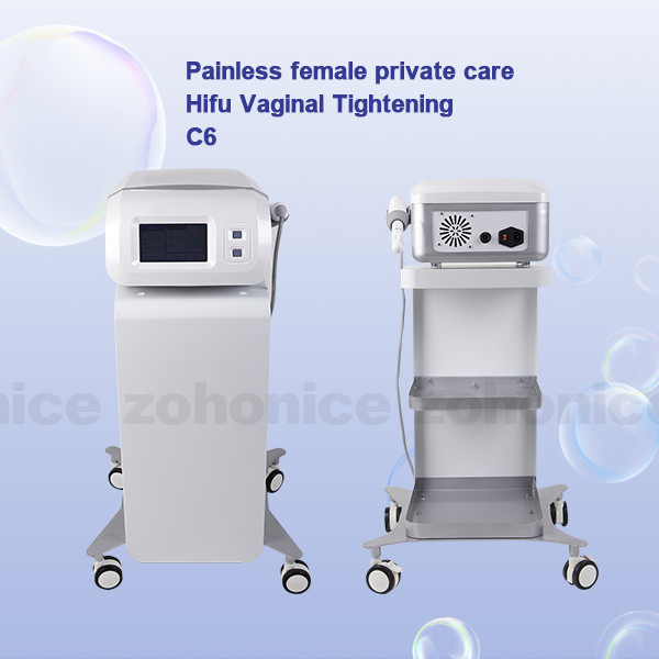 High Intensity Focused Ultrasound HIFU Ultrasound Machine / HIFU Body Slimming Machine
