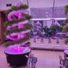 Buy cheap Vertical Spiral Plant Grow Hydroponic Tower Cultivation garden aeroponics System from wholesalers