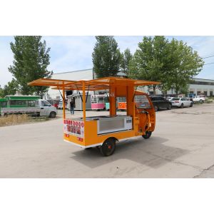 Foldable Handy Dragonfly Tricycle with Disc Brake and Performance