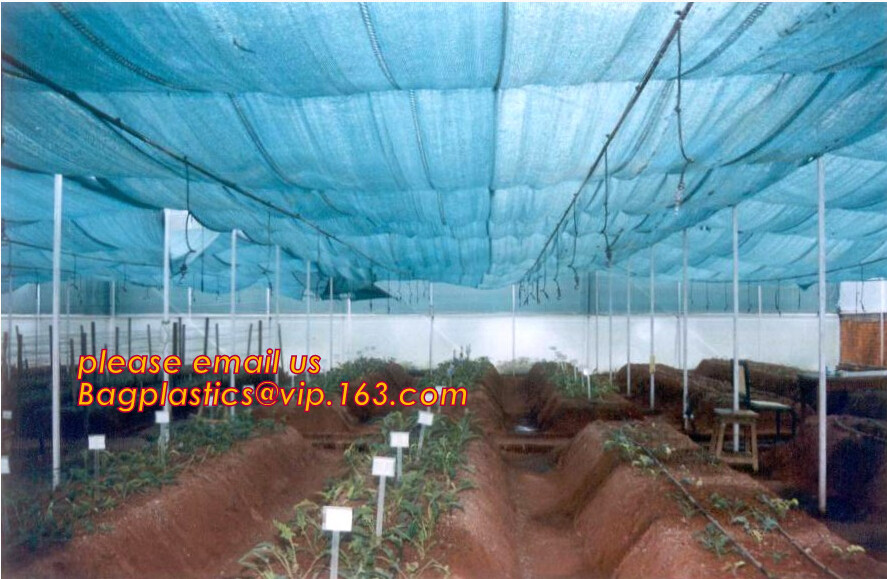 PE safety net for building and construction debris safety net,Safety Nets for Construction Safety 120g Construction Buil