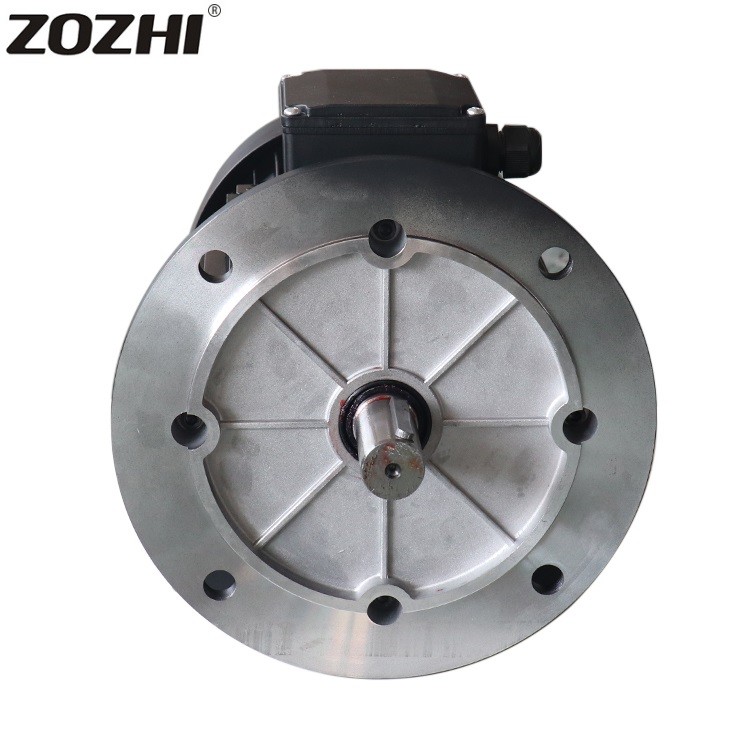 3 Phase Induction Motor 220V/380V/440V/550V/660V for Industrial Automation Needs