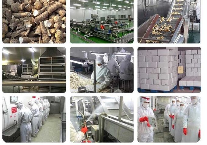 Dehydrated Horseradish Main Root Flakes Bulk Dehydrated Dried 24 Months Shelf Life