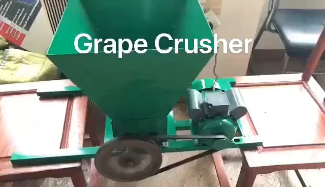 Electric 220v Grape Crusher For Wine Making