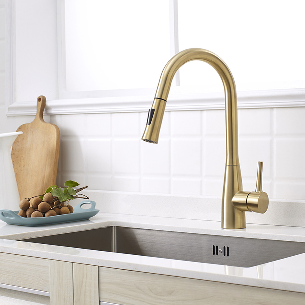 Lead Free Steel 304/316 Material Modern Commercial Pull Out Black Flexible Hose For Kitchen Faucet