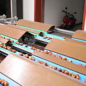 Optimal Size Sorting 1.4 Tons Per Hour 6-Lane Palm Dates Sorting Machine