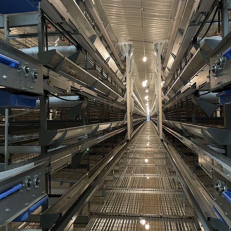 Poultry Farm H Type Layer Cage 25.5 * 24.5'' Better FCR ISO9001