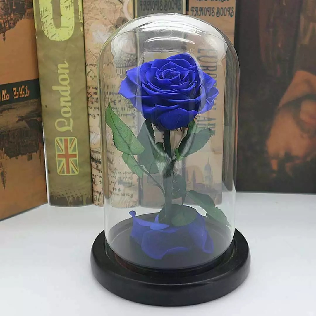 Real Natural Fresh Big Rose Preserved Flower Preserved Everlasting Real Roses in Glass Dome for Sale