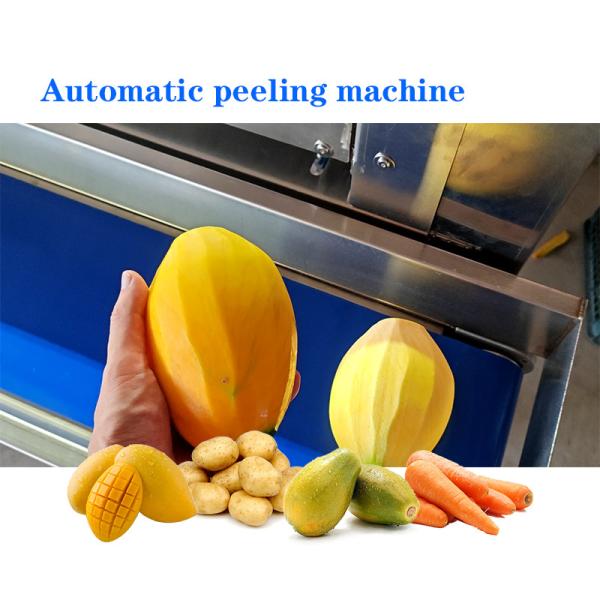 Intelligent Potato Peeling Machine For Fruits And Vegetables Processing Lines