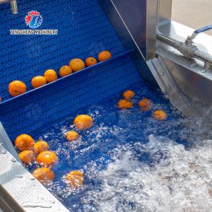 vegetable drying equipment Fruit and vegetable selection washing and drying