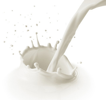 Purifying Disc Separator - Centrifuge Cream Separator Machine