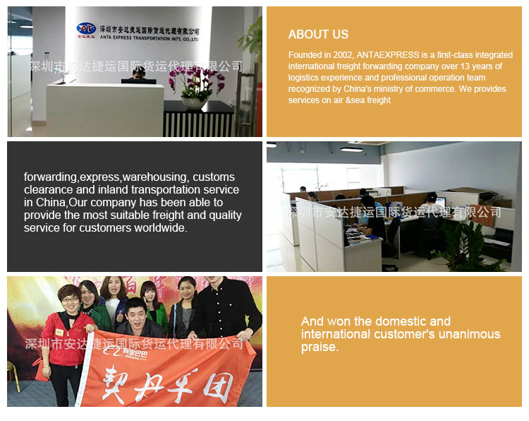 China Cheapest Container Sea Freight Shipping Service To Serbia