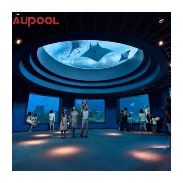 Cast Acrylic Panel Style 8M Long In-Ground Pool Large Portable Endless Swimming