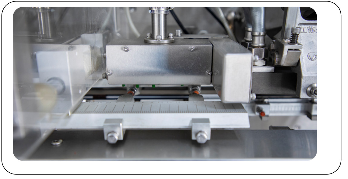 Agricultural Chemical Fully Automatic Horizontal Bag Packing Machine