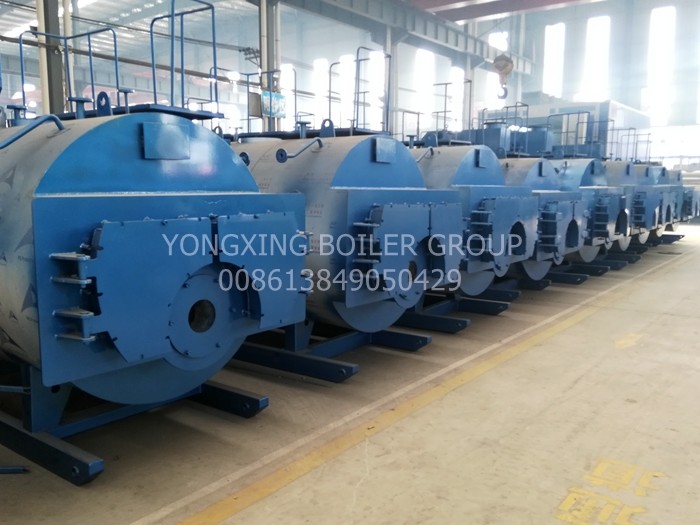 30 Liter Gas Fired Hot Water Boiler Residental Low Pressure Steam Boiler