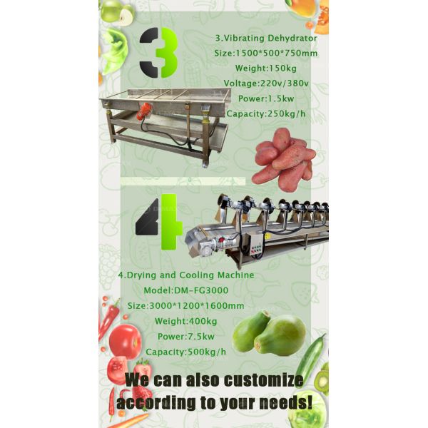 Suitable for Citrus Grading Cleaning Processing Sorting Line 304 Stainless Steel