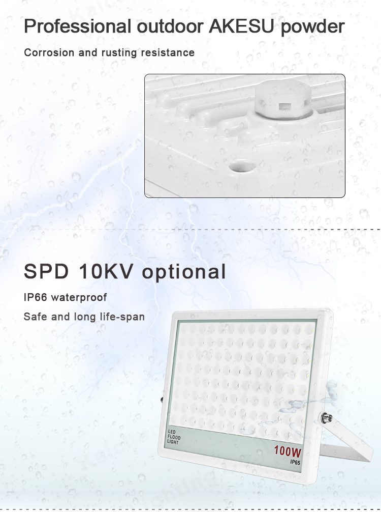 ODM Optical Design 100W Led Flood Lamps Outdoor With Driver