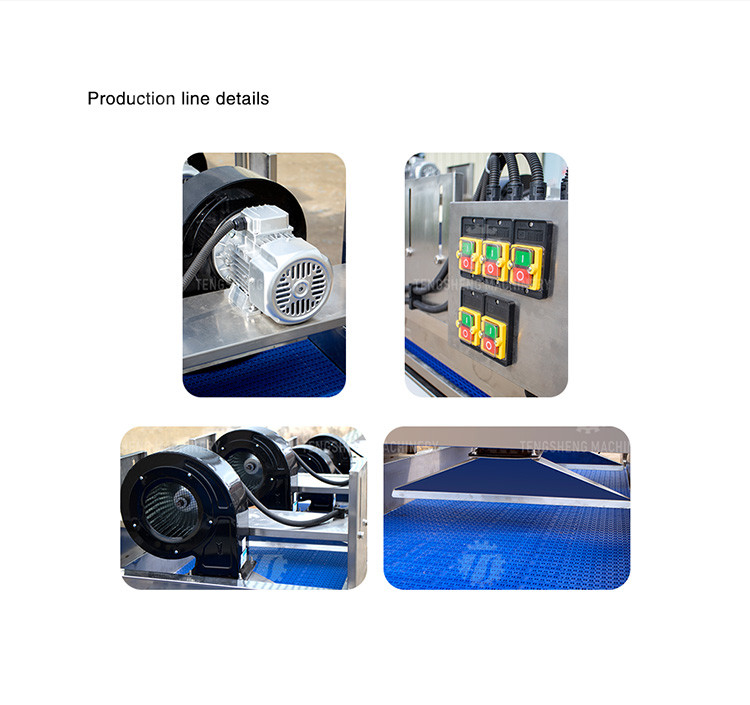 Automatic Dewatering Dehydrator Vegetable Mesh Conveyor Belt Drying Machine
