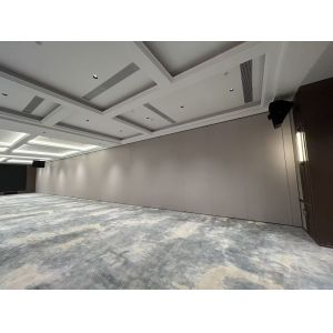 China Low Maintenance Wall Partition Panel with Select By Customer Surface Material Options on sale