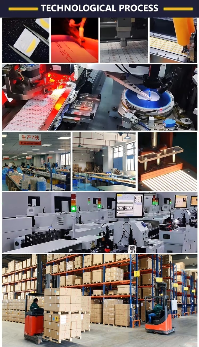 24V/12V.DC 10W Custom Flexible Neon Light Strip For Ceiling Room Decoration Cabinet Neon Lighting