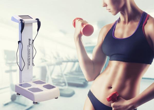 Quality Human Body Composition Analyzer Fat Analysis Machine For Gym / Health Center for sale