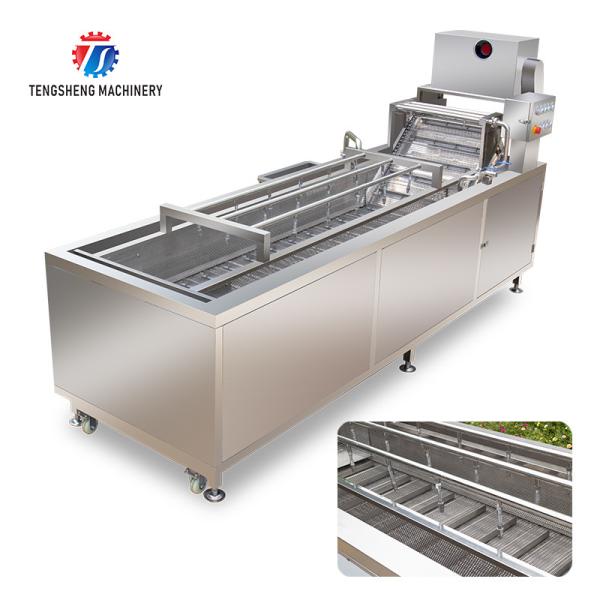 240KG Fruit and vegetable washing machine automatic cleaning operation line