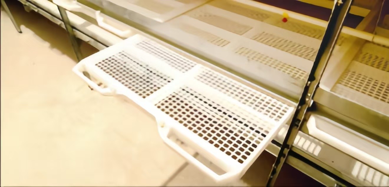 Automatic Poultry Farming Equipment Broiler Chicken Cage Manufacturer