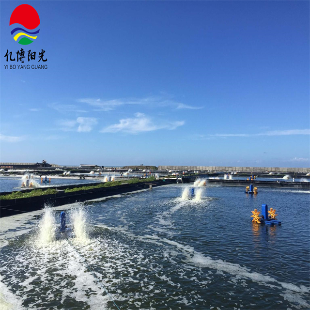 500 micron HDPE Geomembrane Shrimp Pond Liner for Durable Shrimp Farming in Indonesia