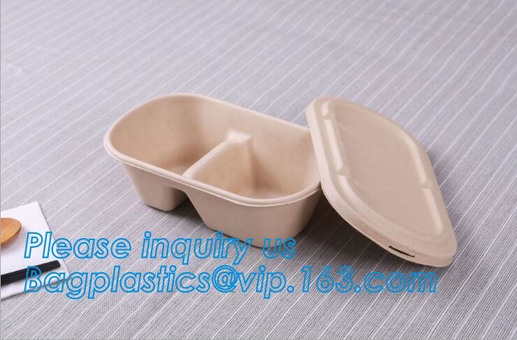 Meal Prep Containers Free Sample Bento Lunch Box Biodegradable Food Container Plastic Wheat Straw Lunch Box bagplastics