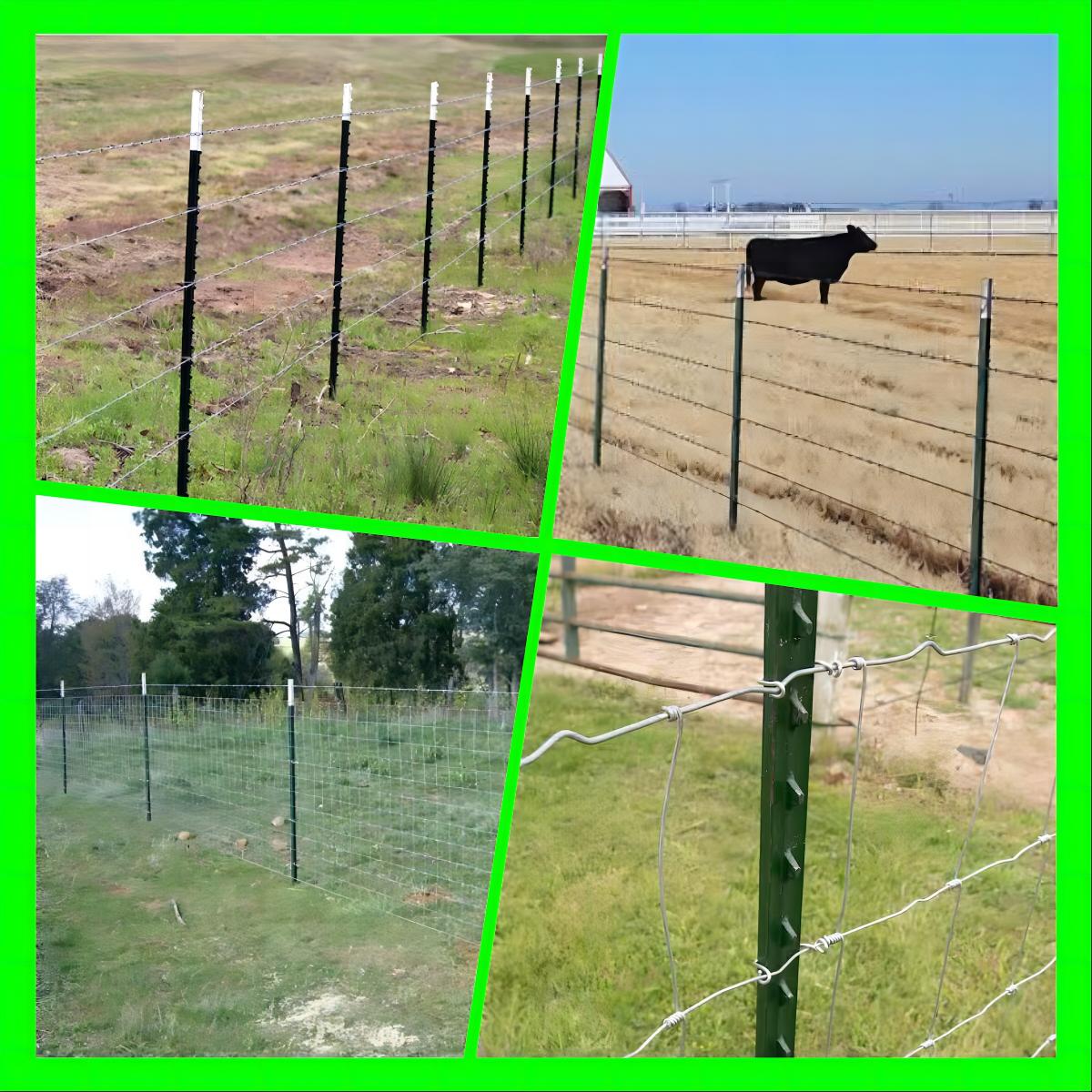 American Steel Studded T Post Green Painted For Farm Metal Fence