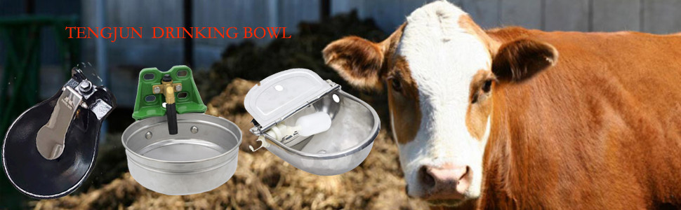 Automatic Iron Enamel Surface 2.5L Capacity Drinking Bowl for Cattle