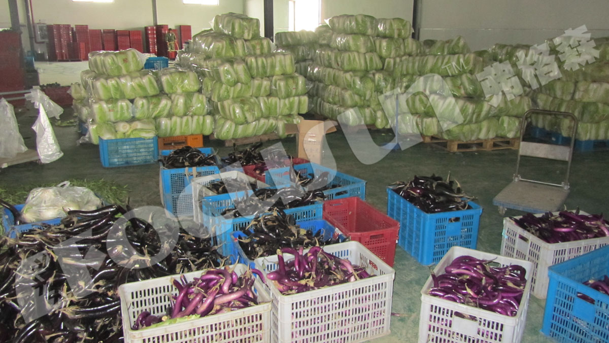 100mm Panel Thickness Farms Pre Cooling Machine Vacuum Cooler for Flowers and Vegetables