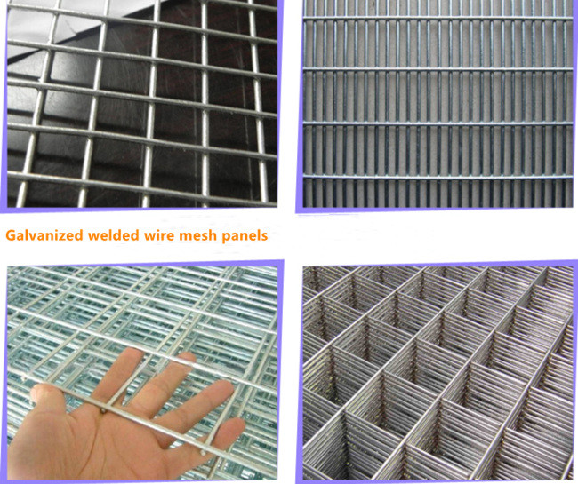 Silver 2×2in 2×4 BWG 13 Galvanized Wire Mesh Sheets Panels 2.11mm High Tensile