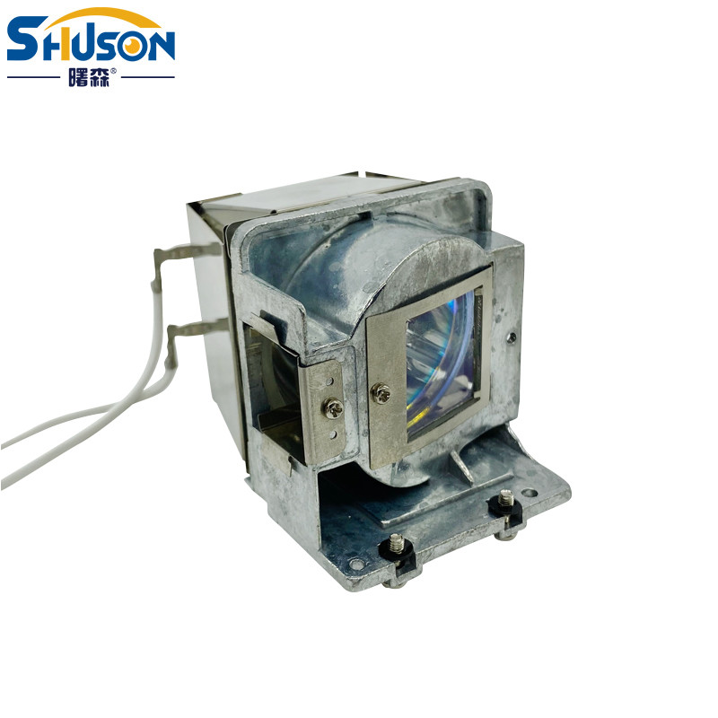 RLC080 Viewsonic Projector Lamps