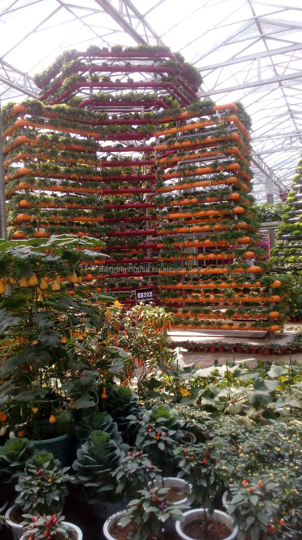 Grow Your Own Strawberries at Home with this Hydroponic Growing System Easy to Install