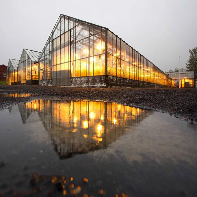 Outdoor Greenhouse 330W IP65 Greenhouse LED Grow Lights