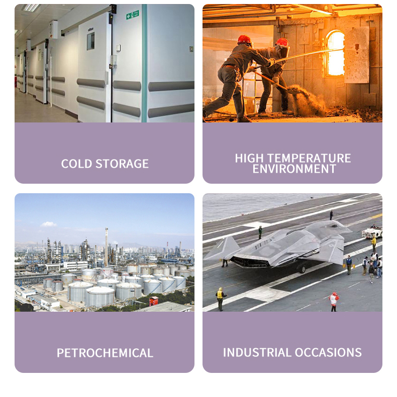 UNIVO UBWH-DY Explosion-proof Humidity Temperature Sensors for Industrial Applications