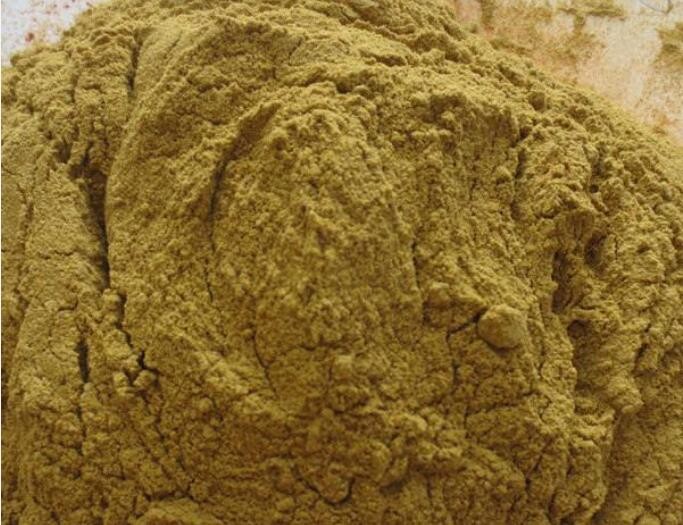 Pungent Jalapeno Pepper Powder 80M Green Chilli Powder HALAL Certificate