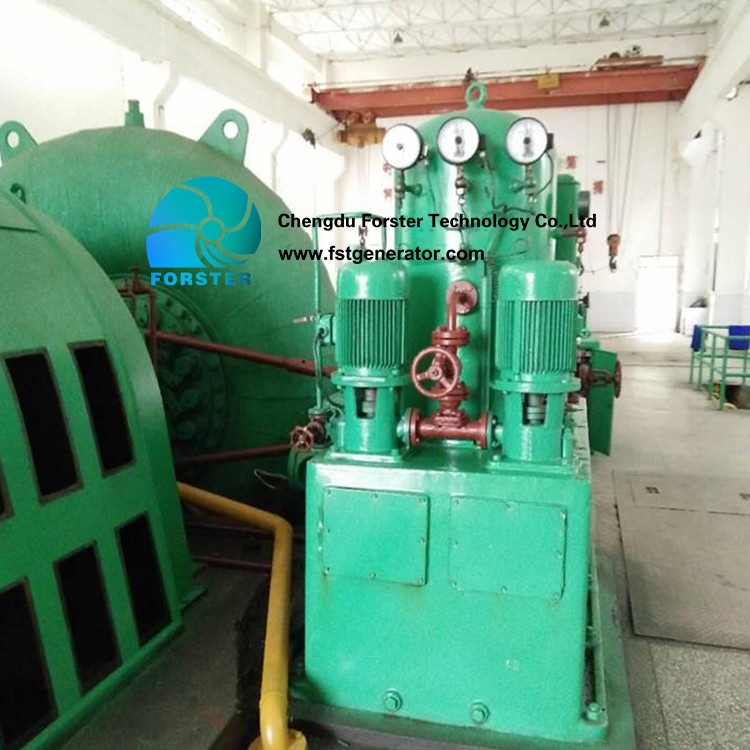 Power Francis Hydro Turbine Generator For MHPP Service Life Is More Than 60 Years