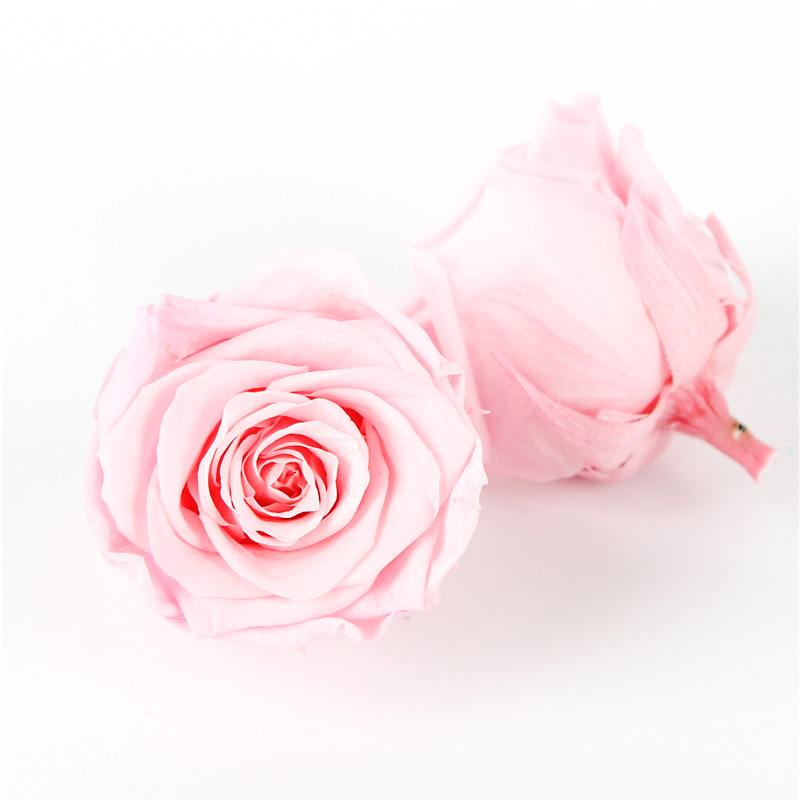 Pliability Maintaining Preserved Rose Heads Excellent Flowers Eternity