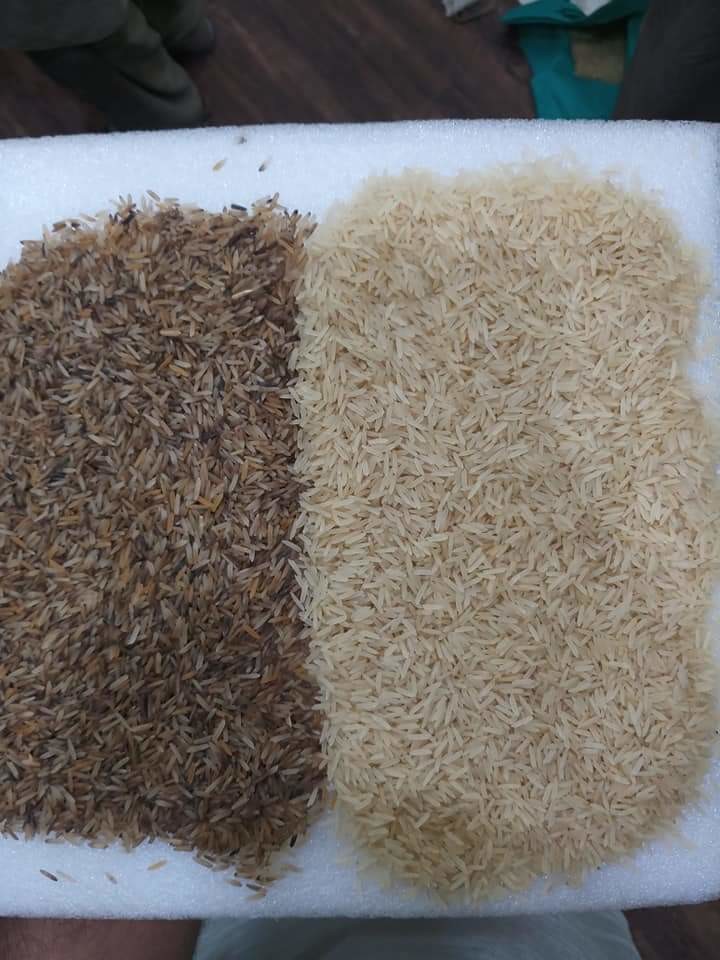 2 T/H Rice Color Sorter , Intelligent Color Sorting Machine Toshiba CCD Sensor
