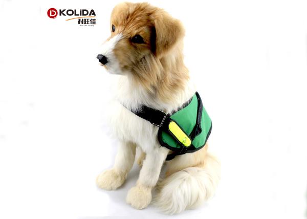 Eco - Friendly Nylon Webbing Glowing Pet Cat Safety LED Light Up Dog Harness