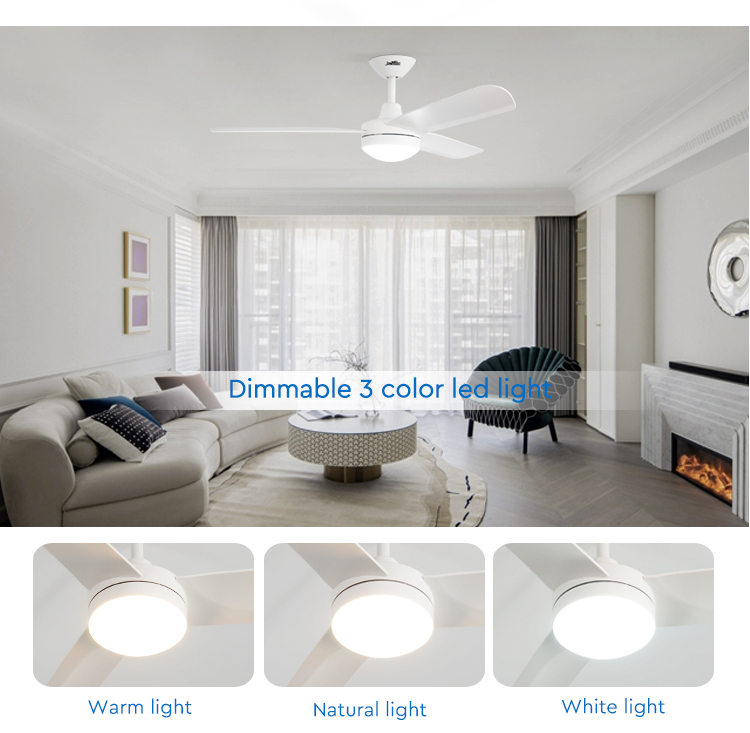 ceiling fan