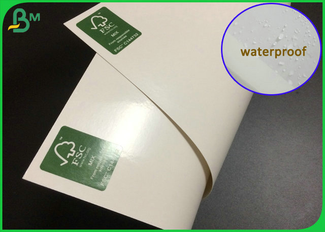 FDA Approved 300gsm 350gsm 400gsm C1S PE Coated Ivory Board For Lunch Box