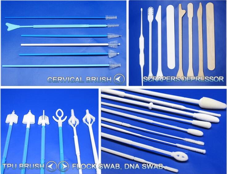 Cervical Screening Extended Tip Spatula With Endocervical Brush
