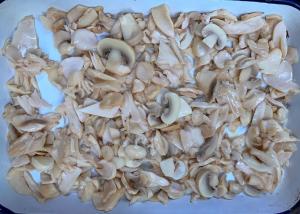  5.29oz  Canned Champignon Mushroom Slices Pieces Manufactures