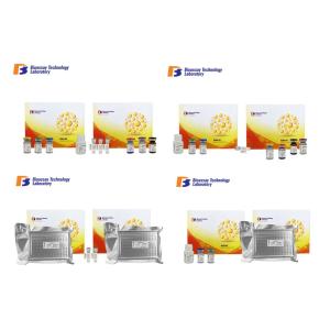  High Precision and Sensitivity Rabbit SDC1 Immunoassays Test Kit For Accurate Quantitative Detection Manufactures