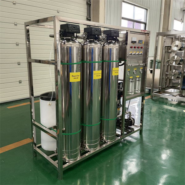 Customized Industrial Pure Water -Making Equipment EDI Reverse Osmosis Water Treatment System Commercial Water Purifier