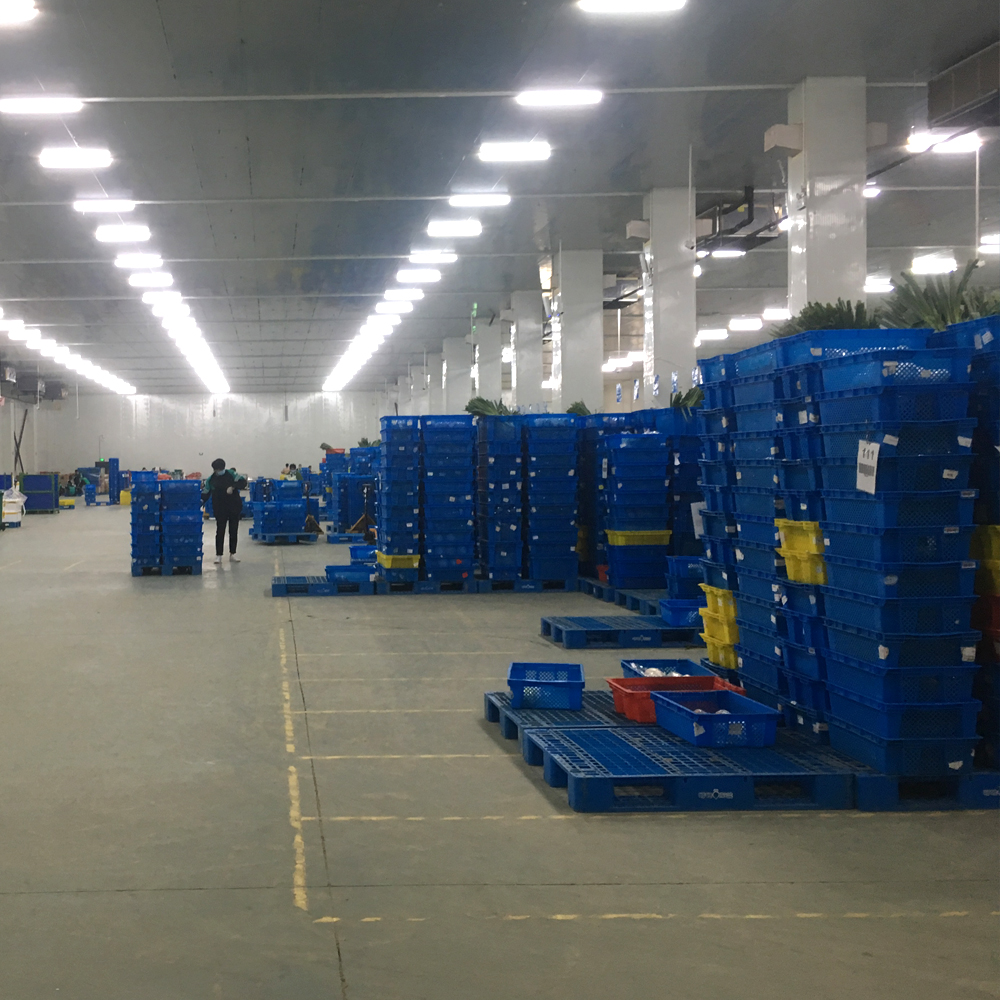 Egg Collapsible Plastic Crates Shipping Stacking Nesting Agricultural Supermarkets