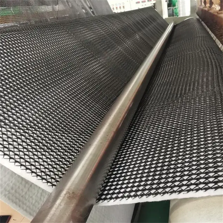 HDPE Mesh 3D Composite Drainage Composite Geo Net Geonet for Durable Drainage Solution