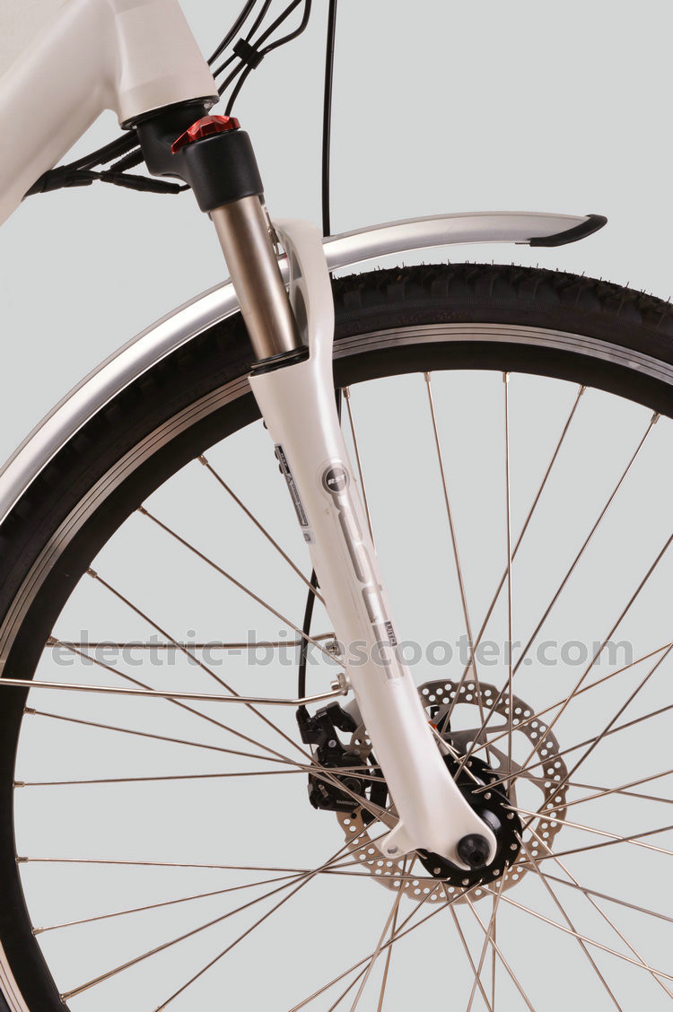 Electric Powered Mid Motor Electric Mountain Bike 10.4Ah Shimano RD-TX55